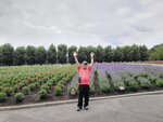 31072025_Samsung Note 20 Ultra_30th round to Hokkaido_Furano Tomita Farm00141