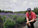 31072025_Samsung Note 20 Ultra_30th round to Hokkaido_Furano Tomita Farm00143