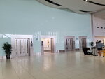 02082025_Samsung Note 20 Ultra_30th round to Hokkaido_New Chitose International Airport00003