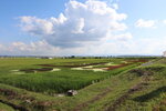 30072025_Canon EOS 5Ds_30th round to Hokkaido_Otoe_Tanbo Art00041