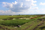 30072025_Canon EOS 5Ds_30th round to Hokkaido_Otoe_Tanbo Art00042