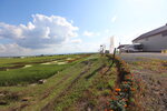 30072025_Canon EOS 5Ds_30th round to Hokkaido_Otoe_Tanbo Art00044