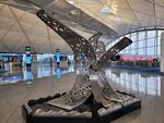 24052026_Samsung Galaxy 20 Ultra_33 round to Hokkaido_Hong Kong International Airport00008
