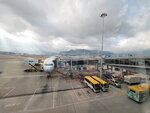 24052026_Samsung Galaxy 20 Ultra_33 round to Hokkaido_Hong Kong International Airport00015