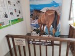 25052026_Samsung Galaxy 20 Ultra_33 round to Hokkaido_Tokachi_Michi no Eki Otofuke00075