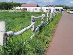 25052026_Samsung Galaxy 20 Ultra_33 round to Hokkaido_Tokachi_Michi no Eki Otofuke00083