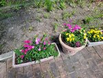 25052026_Samsung Galaxy 20 Ultra_33 round to Hokkaido_Tokachi_Otofukecho_Ryugetsu Sweetpia Garden00020