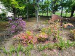 25052026_Samsung Galaxy 20 Ultra_33 round to Hokkaido_Tokachi_Otofukecho_Ryugetsu Sweetpia Garden00021