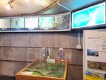 26052026_Samsung Galaxy 20 Ultra_33 round to Hokkaido_Kushiro Shitsugen Kokuritsu Koen00056