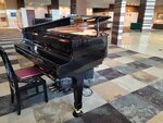 26052026_Samsung Galaxy 20 Ultra_33 round to Hokkaido_Kushiroshi00019