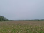26052026_Samsung Galaxy 20 Ultra_33 round to Hokkaido_Tokachi Daiichi Hotel_Toyotei Morning00010