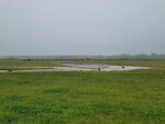 26052026_Samsung Galaxy 20 Ultra_33 round to Hokkaido_Tokachi Daiichi Hotel_Toyotei Morning00023