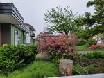 26052026_Samsung Galaxy 20 Ultra_33 round to Hokkaido_Tokachi Daiichi Hotel_Toyotei Morning00028