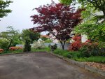 26052026_Samsung Galaxy 20 Ultra_33 round to Hokkaido_Tokachi Daiichi Hotel_Toyotei Morning00030