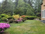 26052026_Samsung Galaxy 20 Ultra_33 round to Hokkaido_Tokachi Daiichi Hotel_Toyotei Morning00046