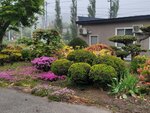 26052026_Samsung Galaxy 20 Ultra_33 round to Hokkaido_Tokachi Daiichi Hotel_Toyotei Morning00048