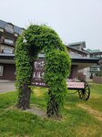 26052026_Samsung Galaxy 20 Ultra_33 round to Hokkaido_Tokachi Daiichi Hotel_Toyotei Morning00133