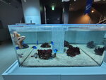 27052026_Samsung Galaxy 20 Ultra_33 round to Hokkaido_Susukino_Moyuk_AOAO Sapporo00014