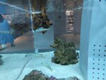 27052026_Samsung Galaxy 20 Ultra_33 round to Hokkaido_Susukino_Moyuk_AOAO Sapporo00041