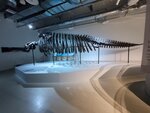 27052026_Samsung Galaxy 20 Ultra_33 round to Hokkaido_Susukino_Moyuk_AOAO Sapporo00119