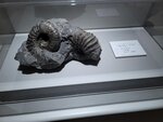 27052026_Samsung Galaxy 20 Ultra_33 round to Hokkaido_Susukino_Moyuk_AOAO Sapporo00125