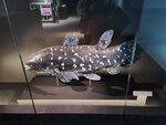 27052026_Samsung Galaxy 20 Ultra_33 round to Hokkaido_Susukino_Moyuk_AOAO Sapporo00128