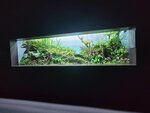 27052026_Samsung Galaxy 20 Ultra_33 round to Hokkaido_Susukino_Moyuk_AOAO Sapporo00133