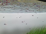 27052026_Samsung Galaxy 20 Ultra_33 round to Hokkaido_Susukino_Moyuk_AOAO Sapporo00142
