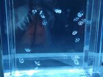 27052026_Samsung Galaxy 20 Ultra_33 round to Hokkaido_Susukino_Moyuk_AOAO Sapporo00169