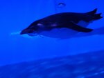 27052026_Samsung Galaxy 20 Ultra_33 round to Hokkaido_Susukino_Moyuk_AOAO Sapporo00187