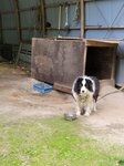 27052026_Samsung Galaxy 20 Ultra_33 round to Hokkaido_Tokachi_Kamikawakan_Shikizucho_Moomin Farm00052