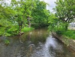 28052026_Samsung Galaxy 20 Ultra_33 round to Hokkaido_Nakajima Koen00032