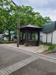 28052026_Samsung Galaxy 20 Ultra_33 round to Hokkaido_Nakajima Koen00044