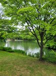 28052026_Samsung Galaxy 20 Ultra_33 round to Hokkaido_Nakajima Koen00053
