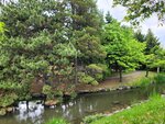 28052026_Samsung Galaxy 20 Ultra_33 round to Hokkaido_Nakajima Koen00058