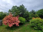 28052026_Samsung Galaxy 20 Ultra_33 round to Hokkaido_Nakajima Koen00070