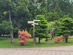 28052026_Samsung Galaxy 20 Ultra_33 round to Hokkaido_Nakajima Koen00077