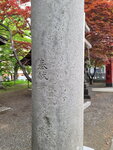 28052026_Samsung Galaxy 20 Ultra_33 round to Hokkaido_Nakajima Koen00099