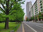 28052026_Samsung Galaxy 20 Ultra_33 round to Hokkaido_Nakajima Koen00104