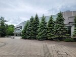 28052026_Samsung Galaxy 20 Ultra_33 round to Hokkaido_Nakajima Koen_Sapporoshi Concert Hall Kitara00167