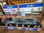 30052026_Samsung Galaxy 20 Ultra_33 round to Hokkaido_Kitahiroshima Mitsui Outlet Park00166
