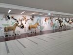 30052026_Samsung Galaxy 20 Ultra_33 round to Hokkaido_New Chitose International Airport00013