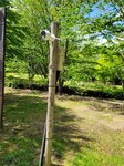 25052026_Samsung Galaxy 20 Ultra_33 round to Hokkaido_Tokachi Sennen no Mori00023