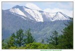 25052026_Sony EOS A6000_33 round to Hokkaido_Tokachi Sennen no Mori00025