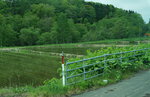 25052026_Sony EOS A6000_33 round to Hokkaido_Way to Tokachi Sennen no Mori00004