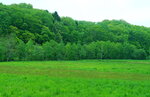 25052026_Sony EOS A6000_33 round to Hokkaido_Way to Tokachi Sennen no Mori00005