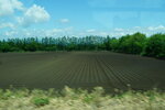 25052026_Sony EOS A6000_33 round to Hokkaido_Way to Tokachi Sennen no Mori00032