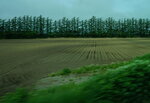 27052026_Sony EOS A6000_33 round to Hokkaido_Tokachi_Kamikawakan_Shikizucho_Moomin Farm00001