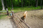 27052026_Sony EOS A6000_33 round to Hokkaido_Tokachi_Kamikawakan_Shikizucho_Moomin Farm00009