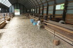 27052026_Sony EOS A6000_33 round to Hokkaido_Tokachi_Kamikawakan_Shikizucho_Moomin Farm00014